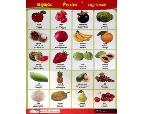 Fruits Chart In English